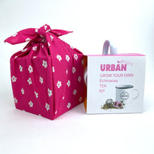 Load image into Gallery viewer, Sustainable Gift – grow your own echinacea tea