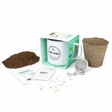 Load image into Gallery viewer, Sustainable Gift – grow your own peppermint tea