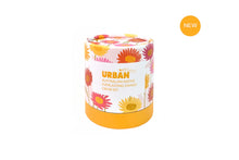 Load image into Gallery viewer, Urban Greens Australian Native Everlasting Daisies Grow Kit
